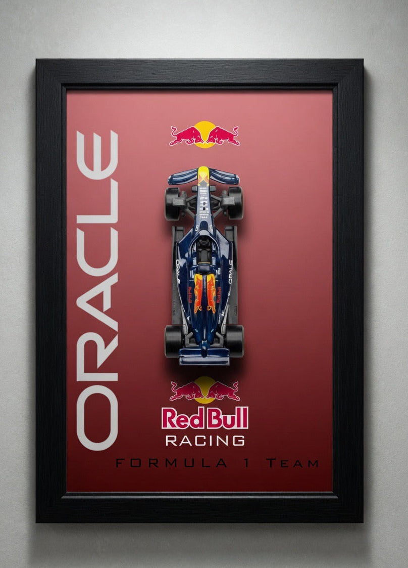 oracle Formula 1 hotwheels frame